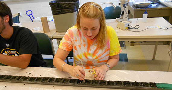 Liz George '12 with her samples in the lab